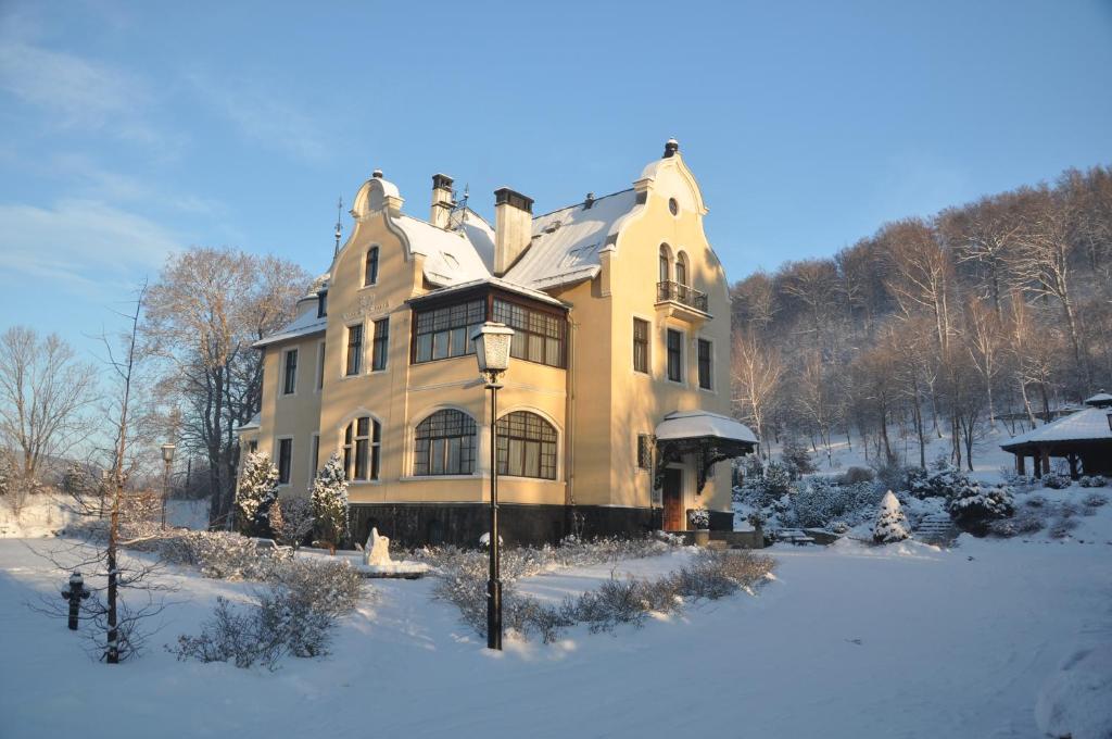 Villa Elise Park Pension v zimě