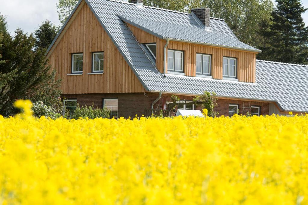 ein Haus hinter einem Feld gelber Blumen in der Unterkunft Die Kleine Villa in Zimmert