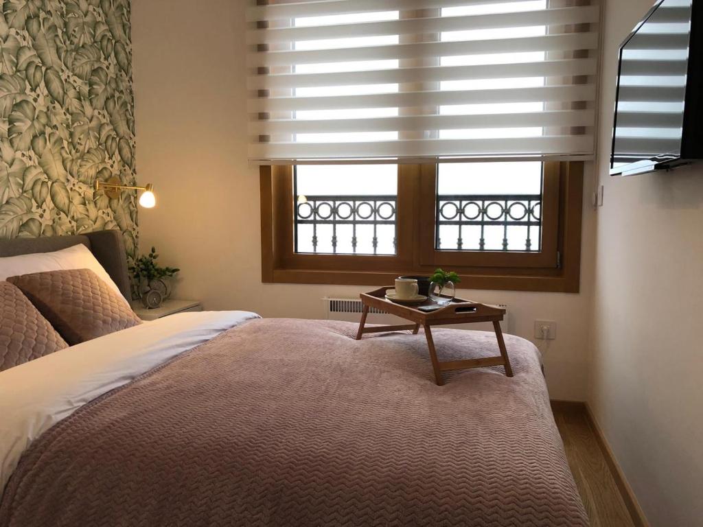 Postel nebo postele na pokoji v ubytování Apartman Lidija Zlatibor