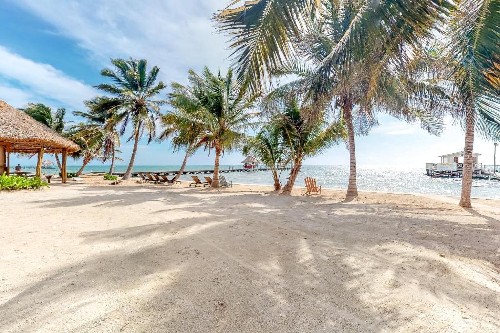 uma praia arenosa com palmeiras e o oceano em Cacao @ Caribe Island em San Pedro