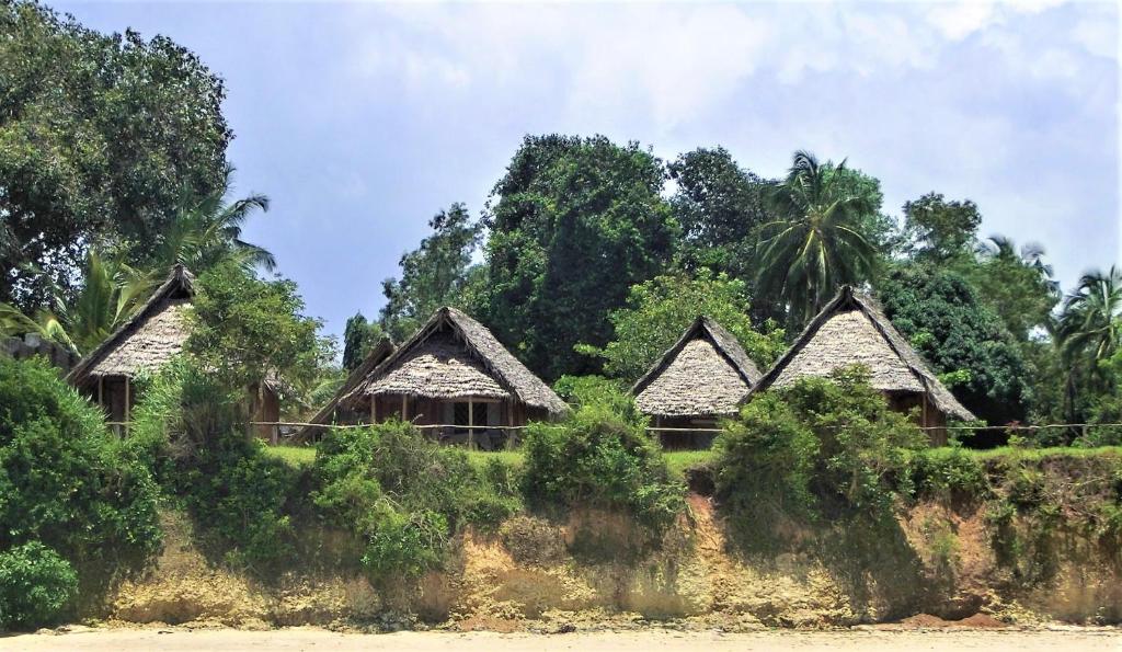 un grupo de casas con árboles en el fondo en Jabar Lodge, en Zanzíbar