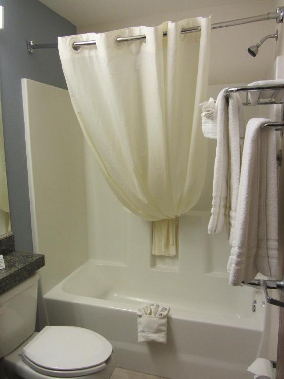 Microtel Inn and Suites San Angelo - Queen Room - Non-Smoking
