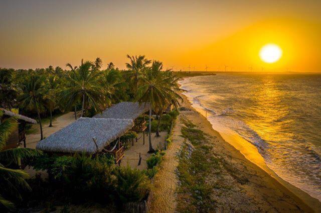 una playa con palmeras y el océano al atardecer en Pousada Lacula, en Praia de Moitas