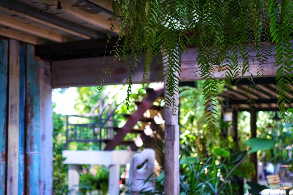 Fotografie z fotogalerie ubytování Sukjai Guesthouse v destinaci Chiang Mai