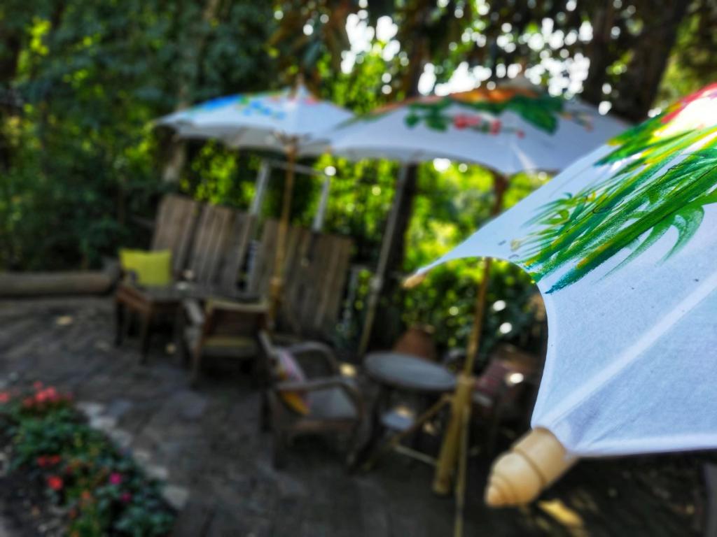 Fotografie z fotogalerie ubytování Sukjai Guesthouse v destinaci Chiang Mai