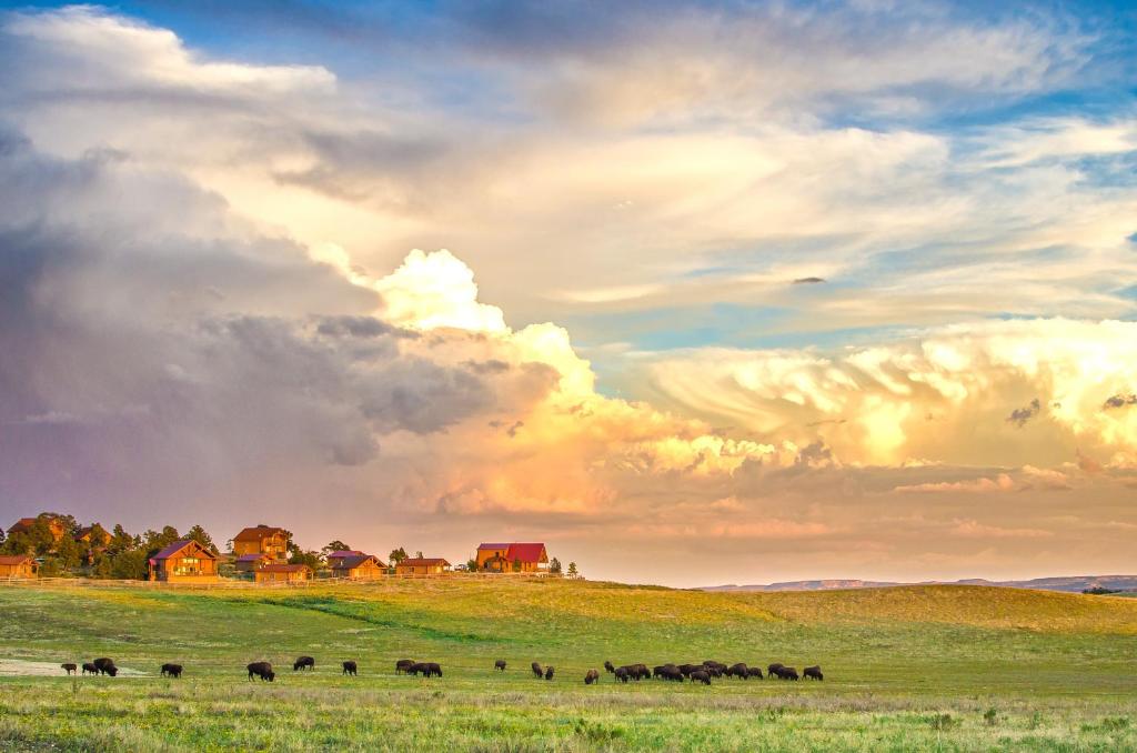 a herd of cattle grazing in a field with a cloudy sky at Zion Mountain Ranch in Mount Carmel Junction