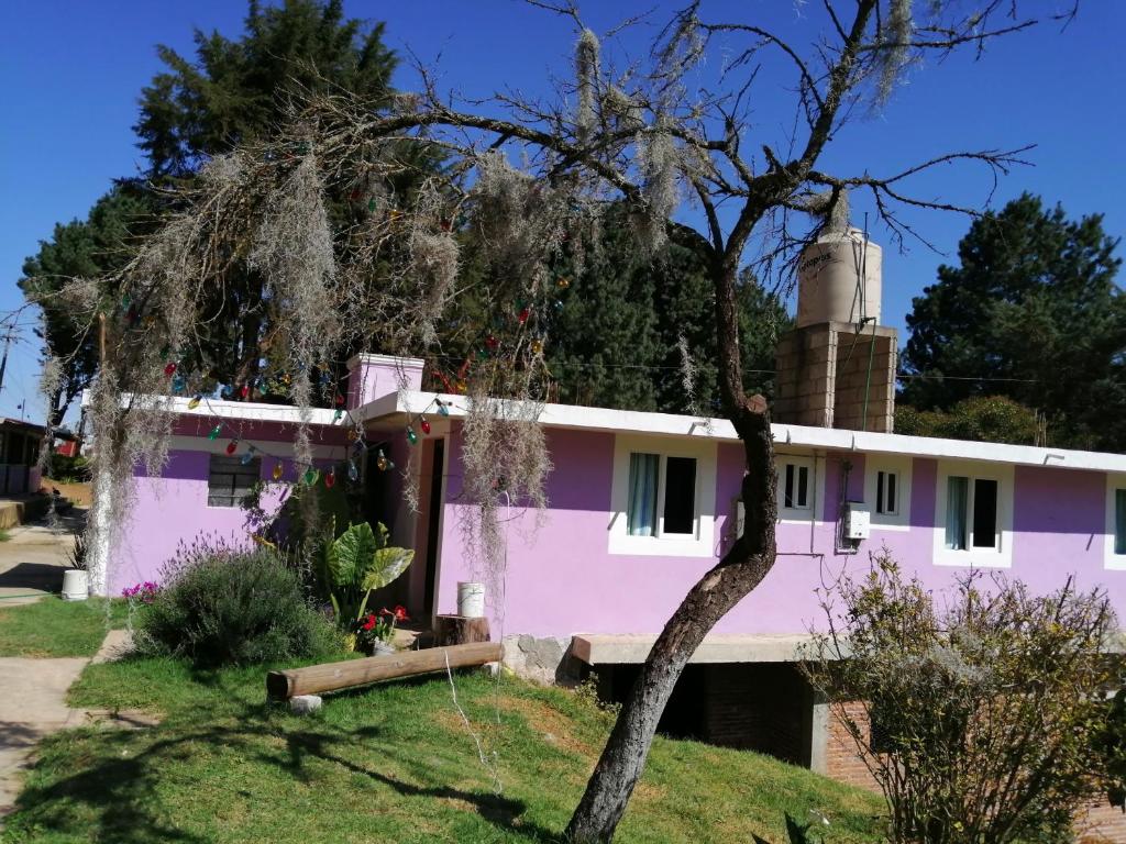 una casa rosa con un albero di fronte di Hotel Bosques a Zacatlán