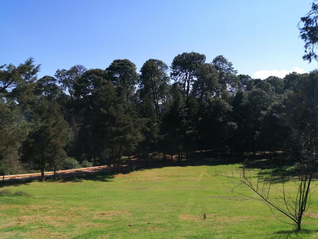 Paesaggio naturale nelle vicinanze dell'affittacamere