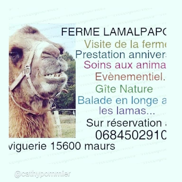 Vacation Home Ferme Animalière Lamalpapoche Sanctuaire la Prairie des  animaux, Maurs, France - Booking.com