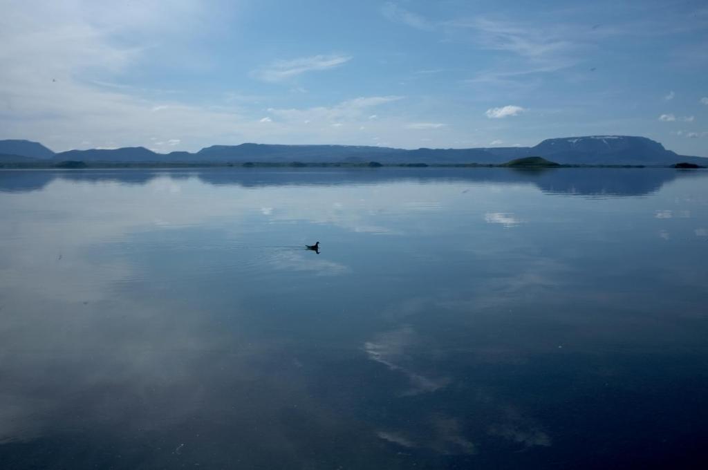 Náttúran í nágrenni íbúðarinnar