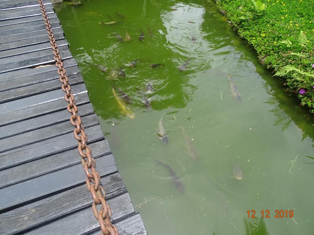  Wembley Tenis Ubatuba