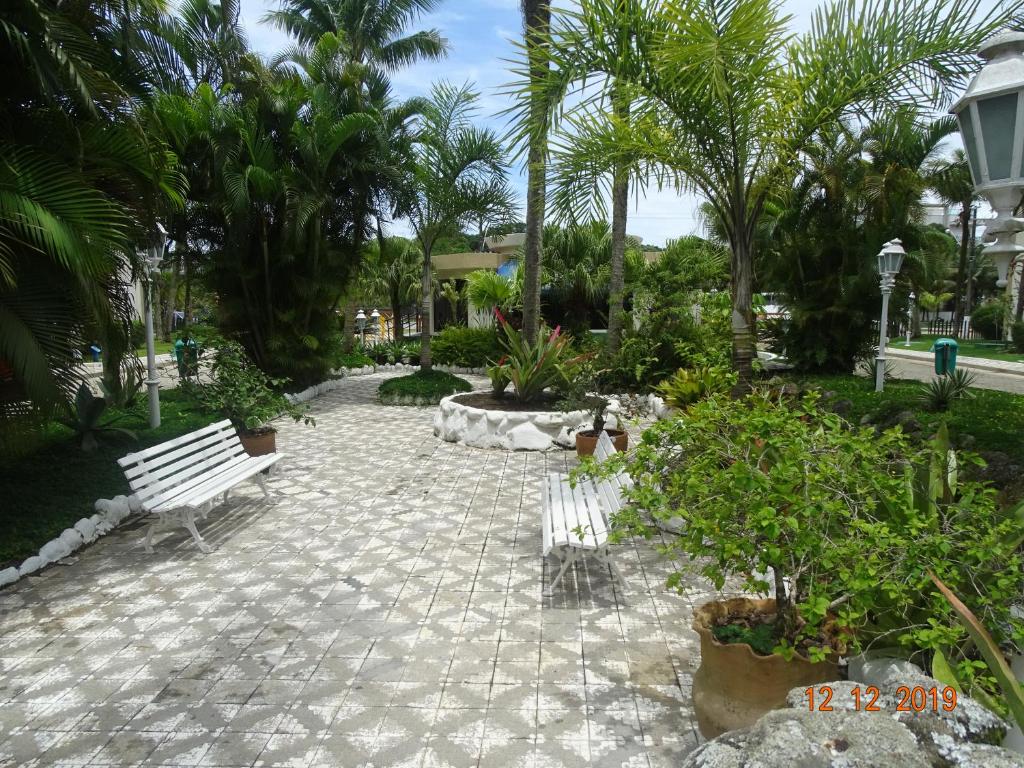  Wembley Tenis Ubatuba