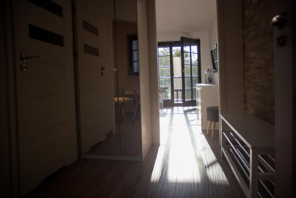 Apartament Kameralny - 5