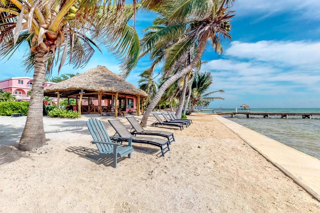 - une rangée de chaises longues sur la plage dans l'établissement Hibiscus @ Caribe Island, à San Pedro