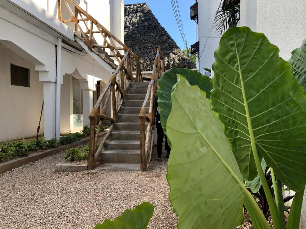 Fotografie z fotogalerie ubytování Nungwi Getaway v destinaci Nungwi