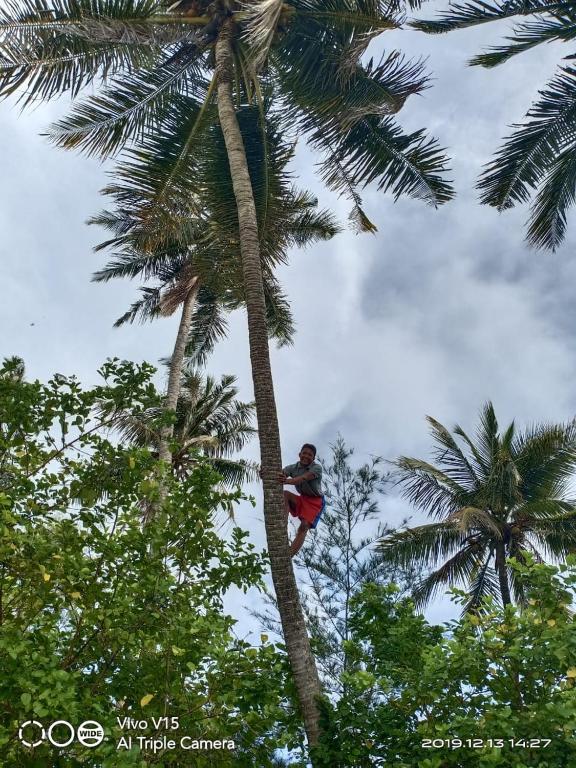 Hosté ubytování MB Palambak Island Resort Pulau Banyak Aceh Singkil