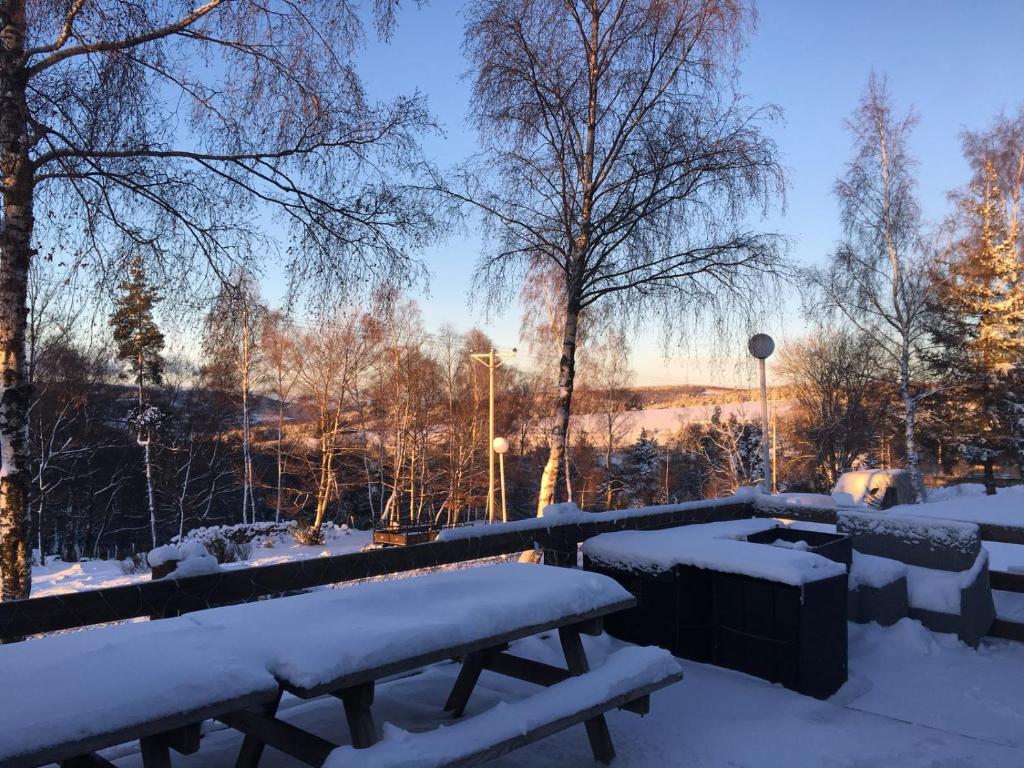 Les Chalets Du Goulet v zimě