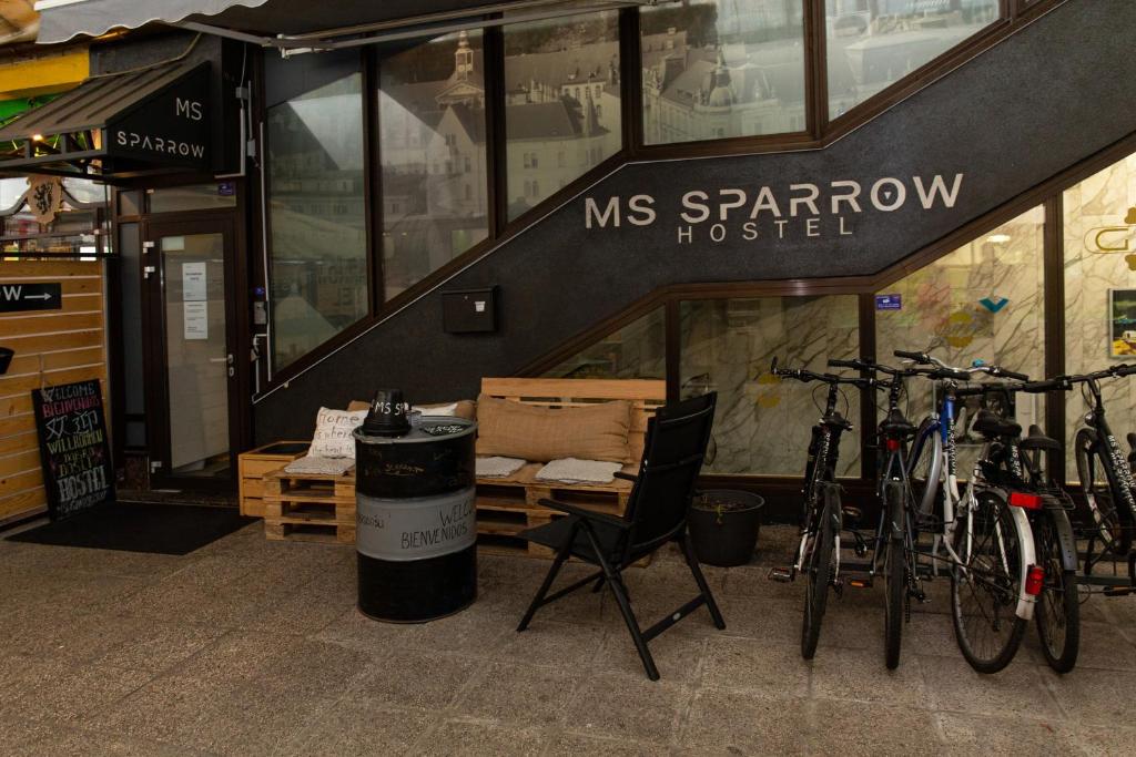 Jízda na kole v ubytování MS Sparrow Hostel nebo okolí