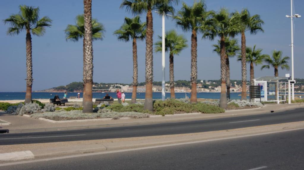 a street with palm trees on the beach at studio 150 m de la mer in Six-Fours-les-Plages