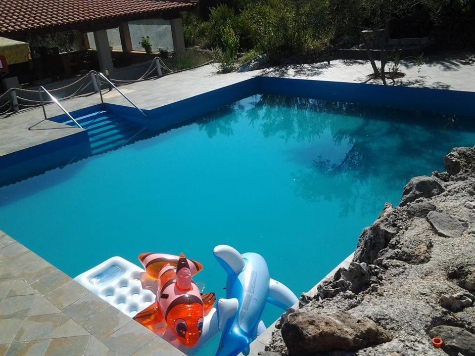 Bazén v ubytování Aparthotel Vila Danica nebo v jeho okolí