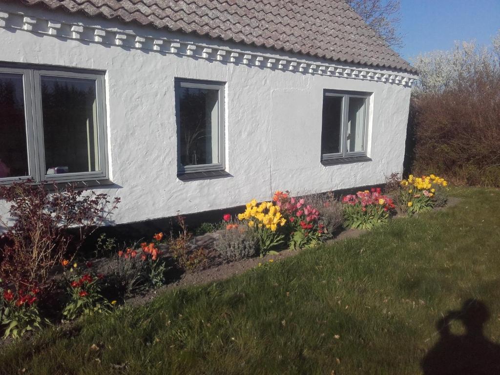 ein weißes Haus mit Blumen davor in der Unterkunft Lindholt in Fjerritslev