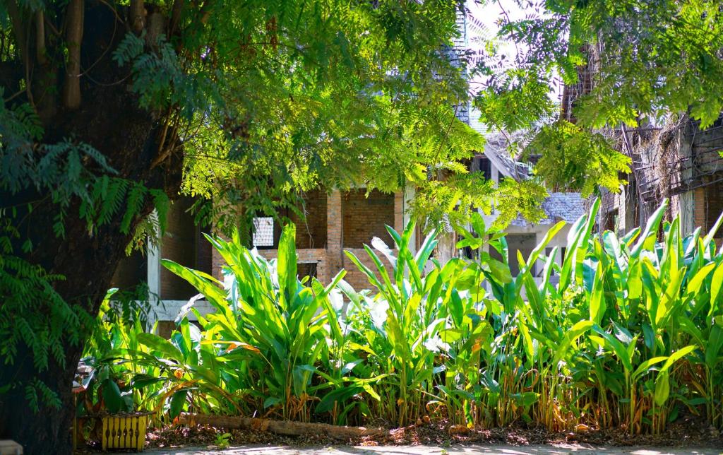 Fotografie z fotogalerie ubytování Sukjai Guesthouse v destinaci Chiang Mai