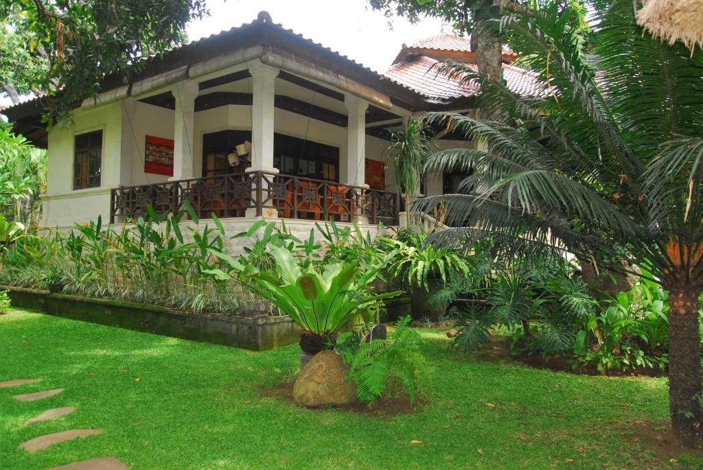Zahrada ubytování Jungle Garden Villa