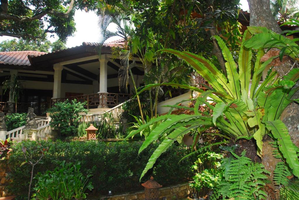 Zahrada ubytování Jungle Garden Villa
