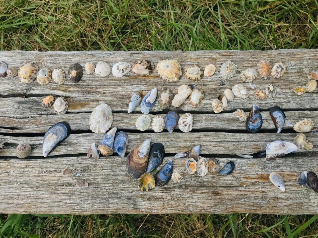 Fotografie z fotogalerie ubytování Ático nuevo en playa de Laxe v destinaci Laxe