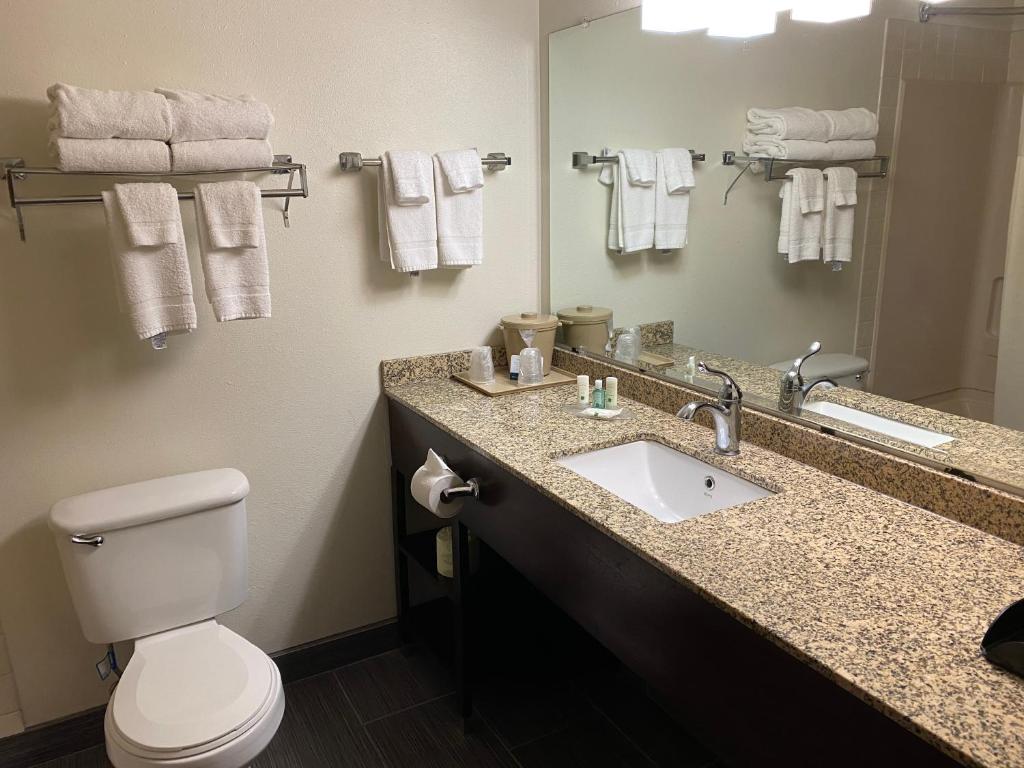 Quality Inn Morton at I-74 - Queen Room - Non-Smoking
