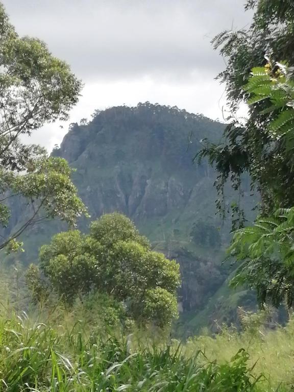 Sudumal Cottage - Double Room With Mountain View