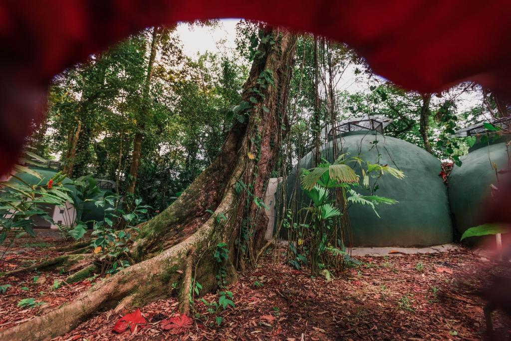 Un jardín fuera de Nowhere