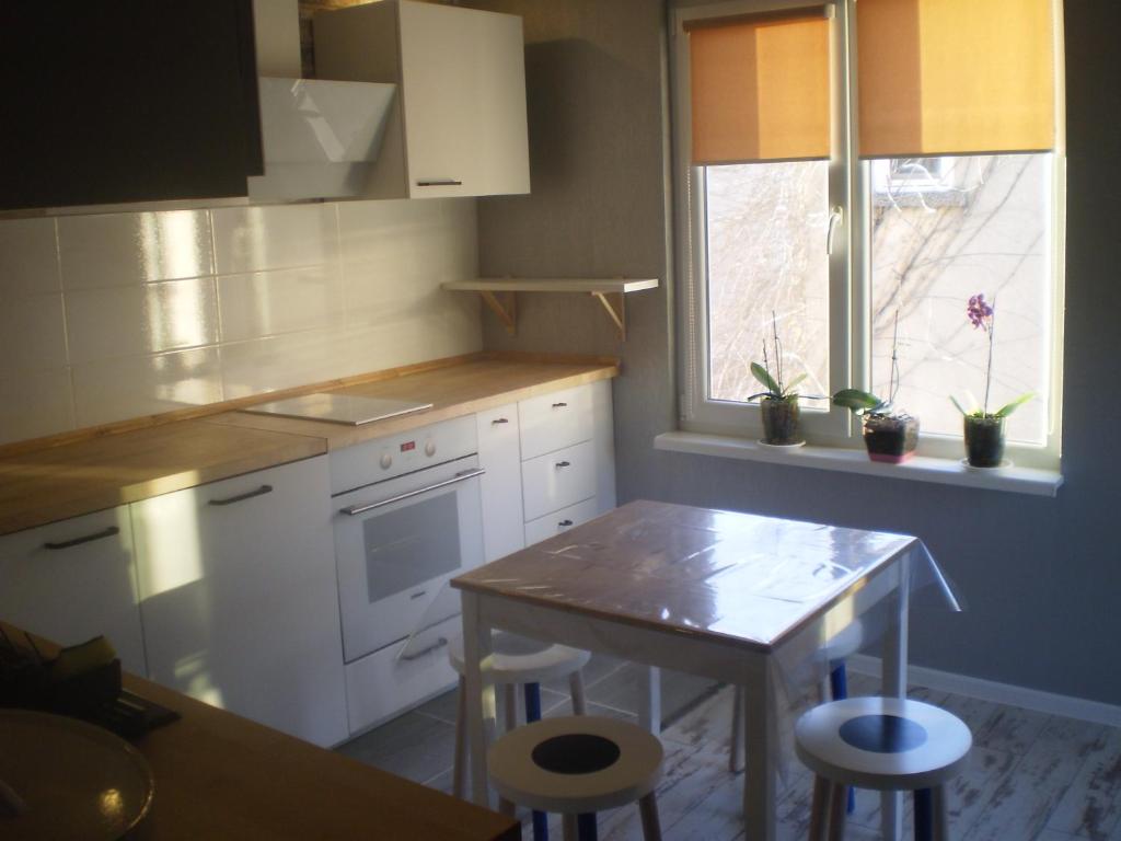 Kuchyň nebo kuchyňský kout v ubytování Draga Apartment