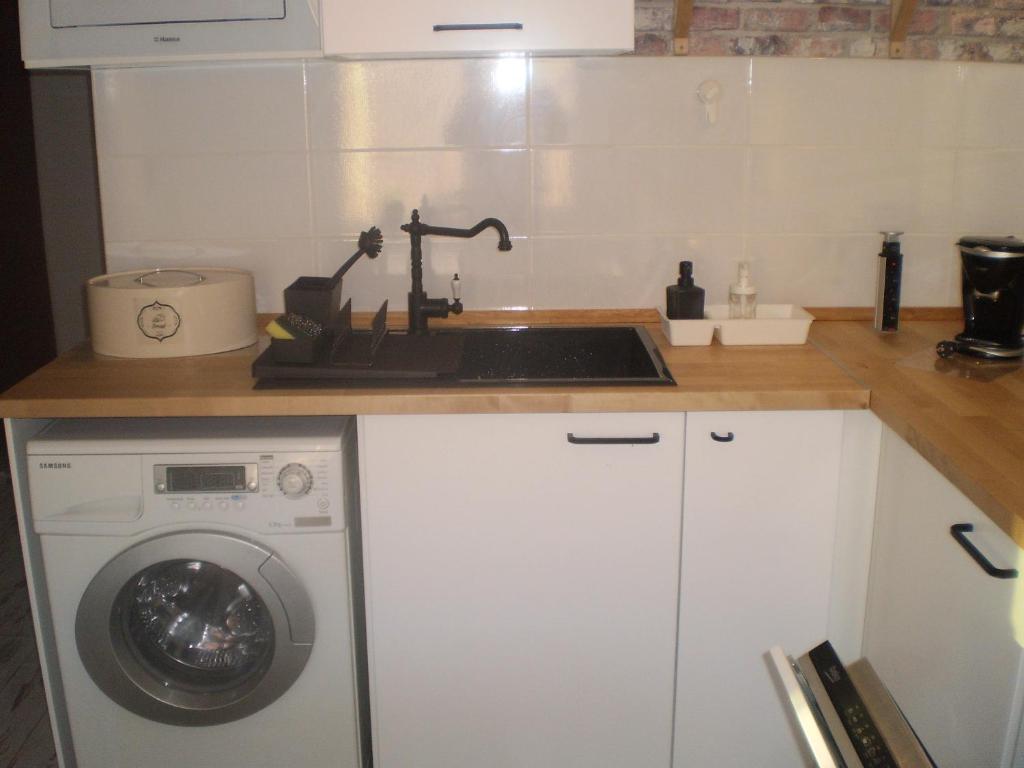 Kuchyň nebo kuchyňský kout v ubytování Draga Apartment