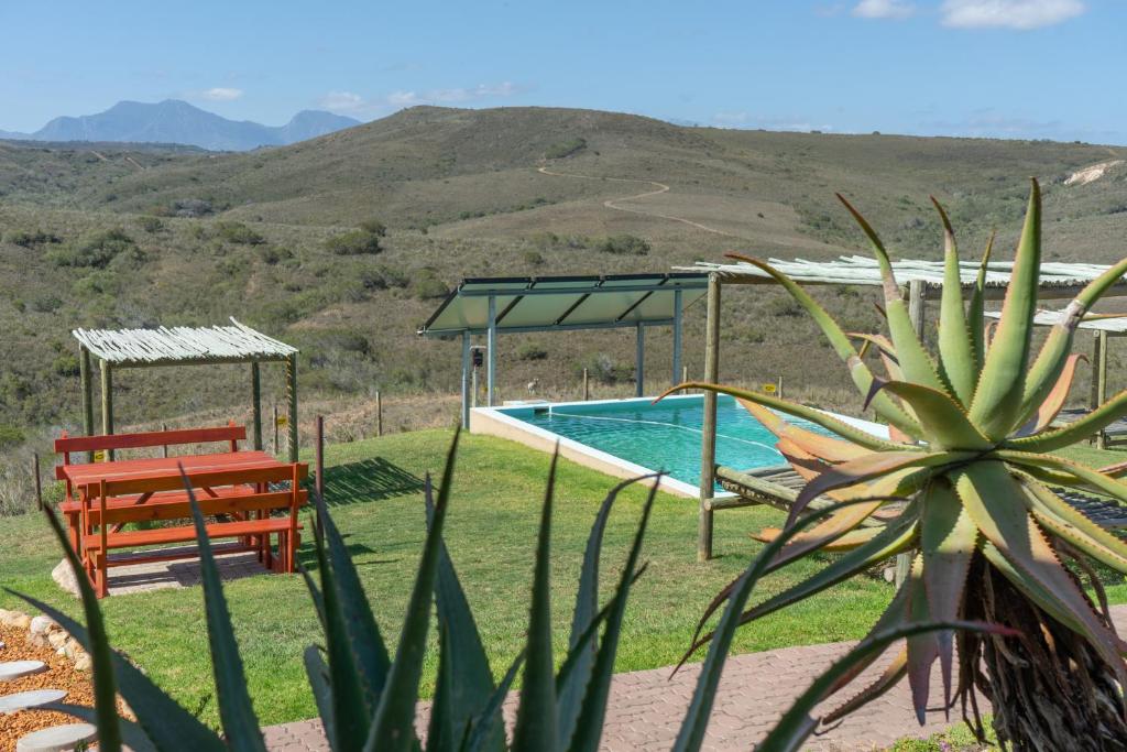 Bazén v ubytování Hartenbos Private Game Lodge nebo v jeho okolí