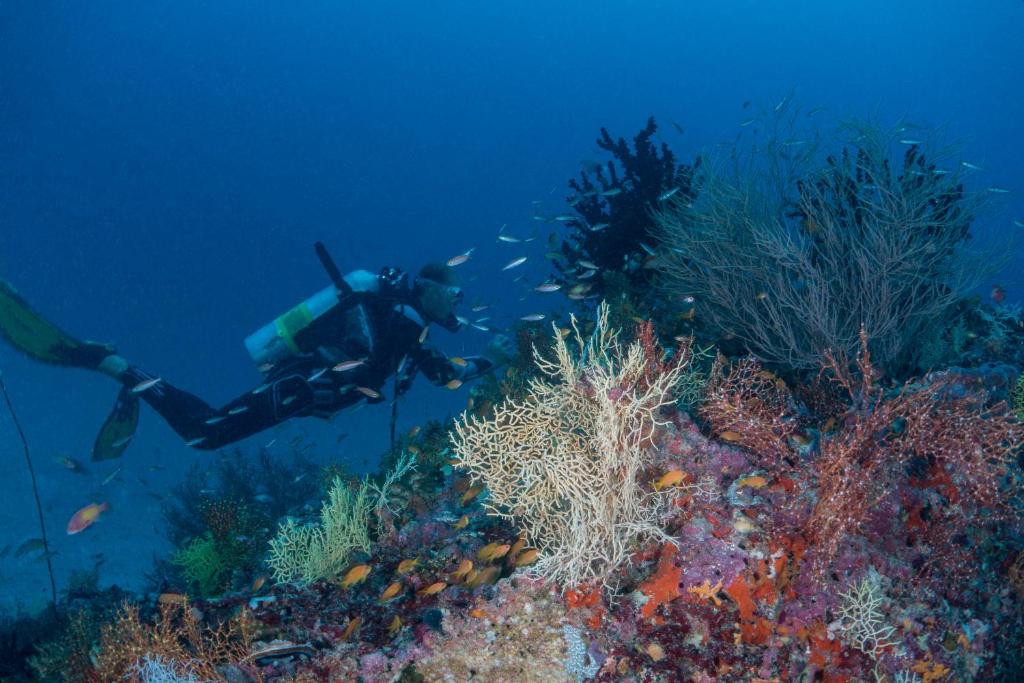 Hosté ubytování Milaidhoo Maldives