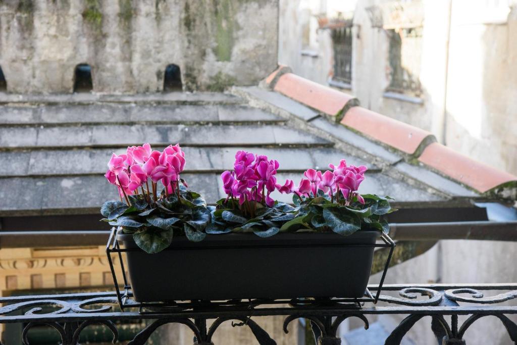 Zahrada ubytování B&B Piccoli Leoni