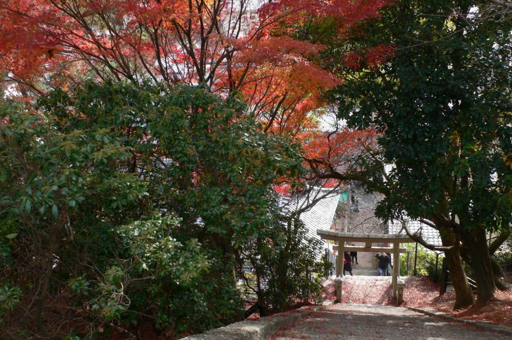 厳島東門前　菊がわにある庭