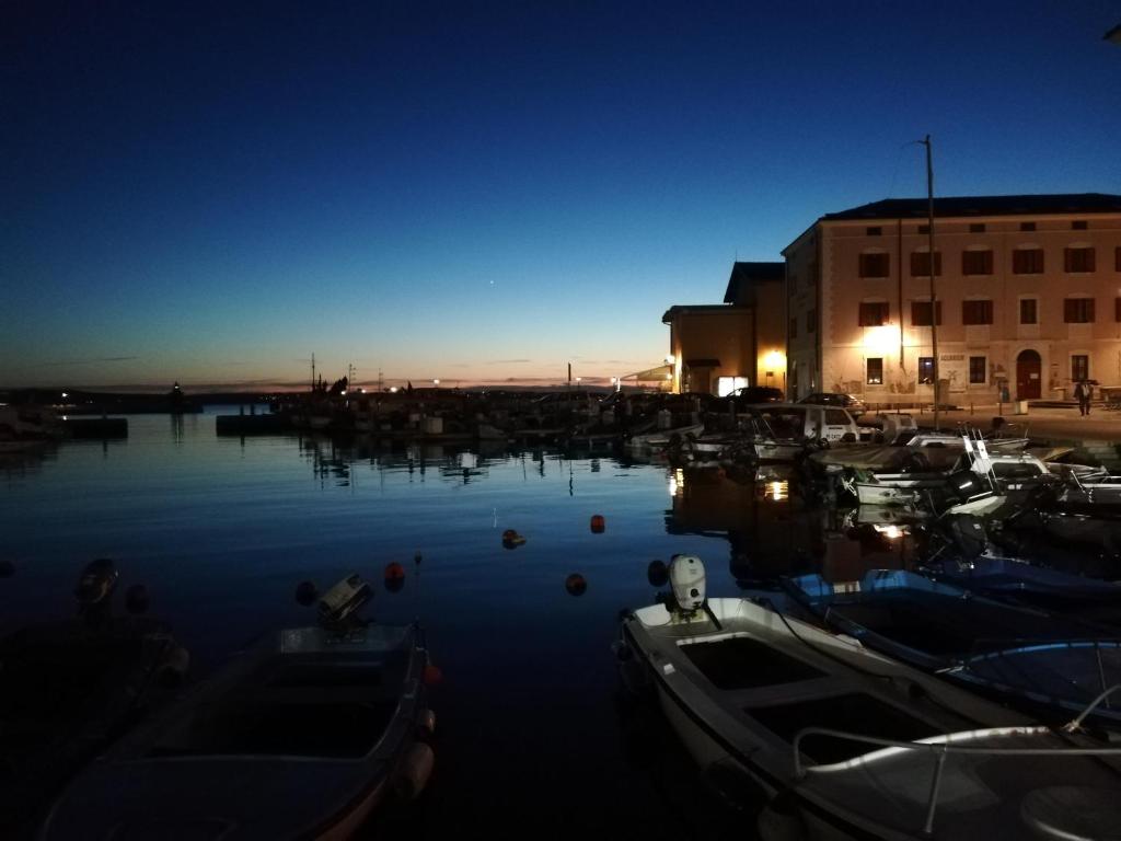 eine Gruppe von Booten, die nachts in einem Hafen anlegten in der Unterkunft Casa Al Porto Antico in Piran