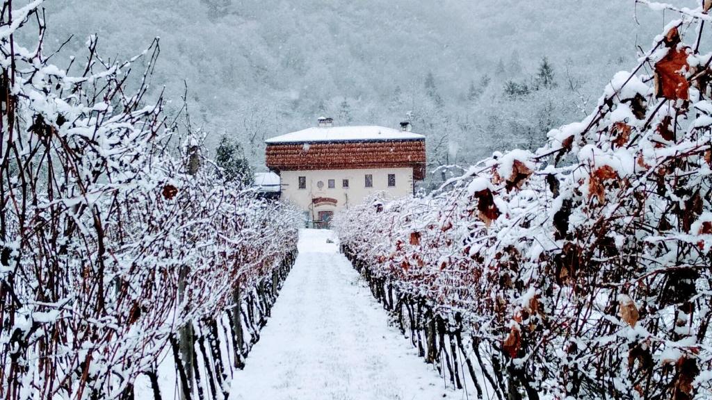 Agritur La Polentera v zimě