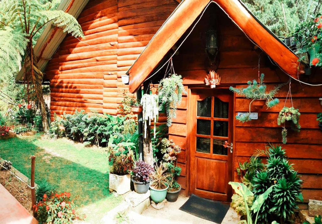 una cabina di legno con piante di fronte ad essa di Moon Plains Forest Log a Nuwara Eliya