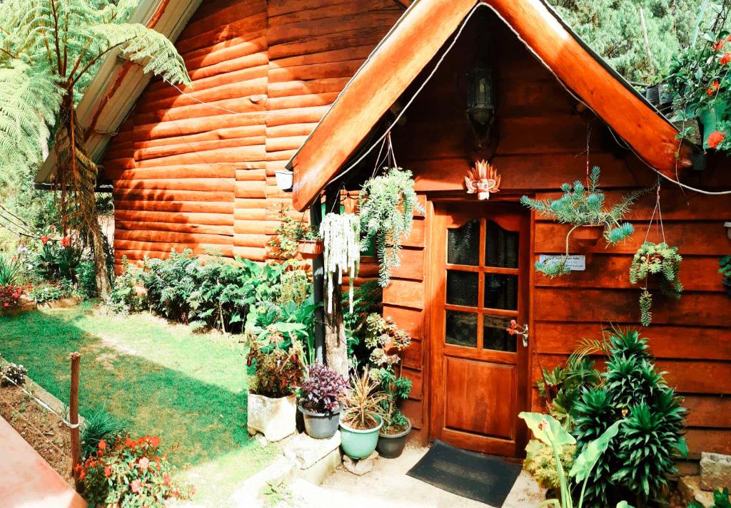 une cabane en bois avec des plantes devant elle dans l'établissement Moon Plains Forest Log, à Nuwara Eliya