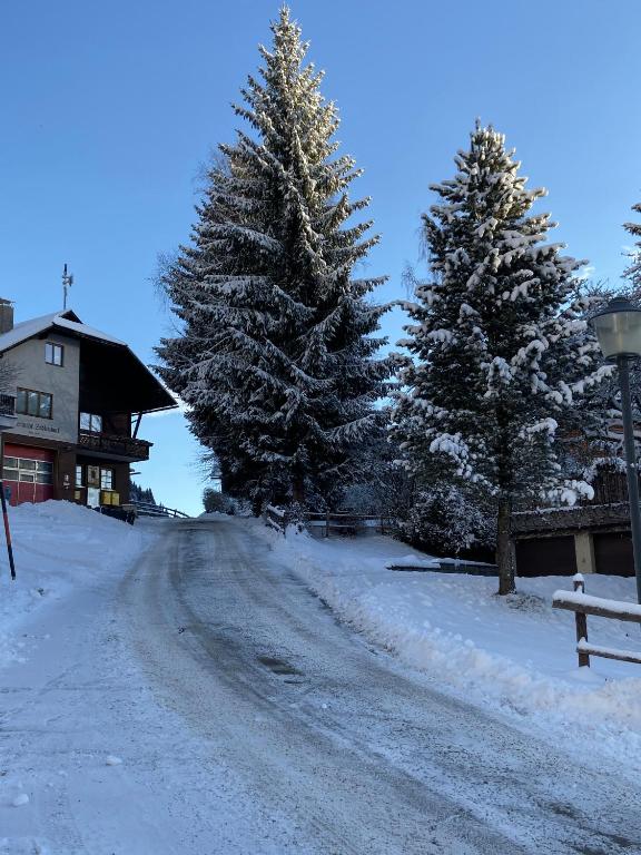 Gasthaus Luggwirt v zimě