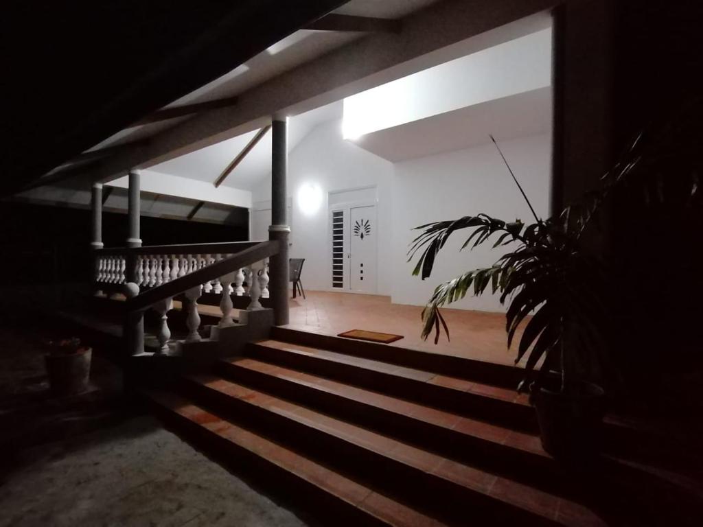 una escalera en una casa con una maceta en Logement de 100 m carré en Rémire-Camp