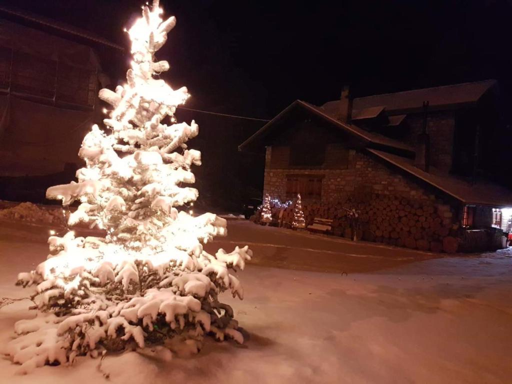 B&B ABETE BIANCO v zime