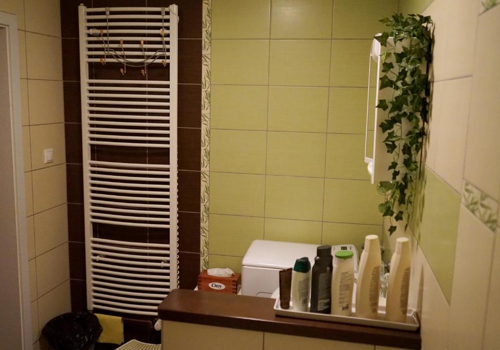 Koupelna v ubytování Apartment Boroví