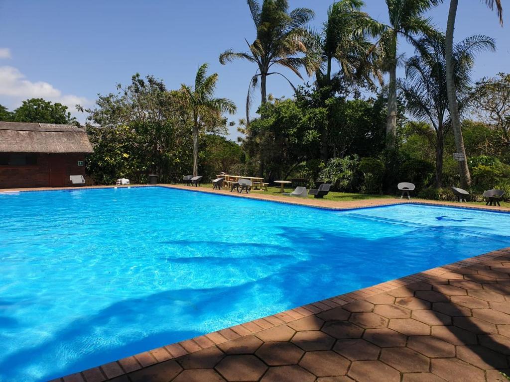 uma grande piscina azul com palmeiras ao fundo em 23 Manzini Chalets-Pumba's Den em St. Lucia