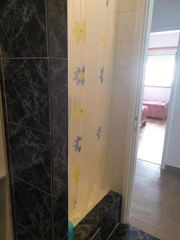 Vonios kambarys apgyvendinimo įstaigoje Apartments Zenit