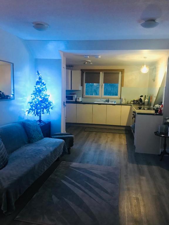 Kuchyň nebo kuchyňský kout v ubytování “A Wee Pad in Dunfermline”