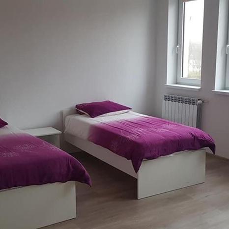 a bedroom with two beds with purple sheets and a window at Lula in Gołdap